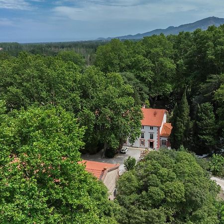 Domaine Castell De Bles Acomodação com café da manhã Saint-Génis Exterior foto