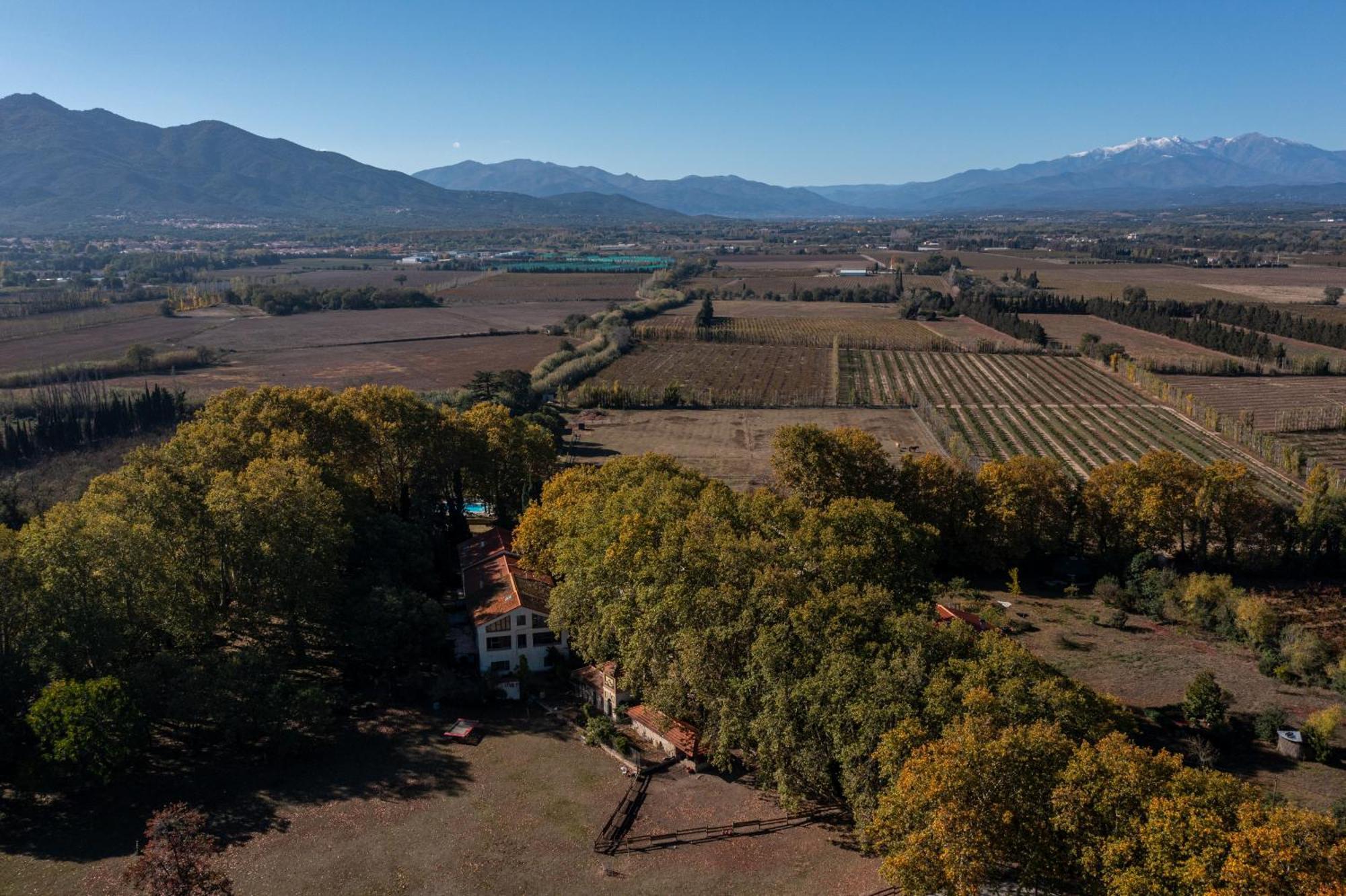 Domaine Castell De Bles Acomodação com café da manhã Saint-Génis Exterior foto