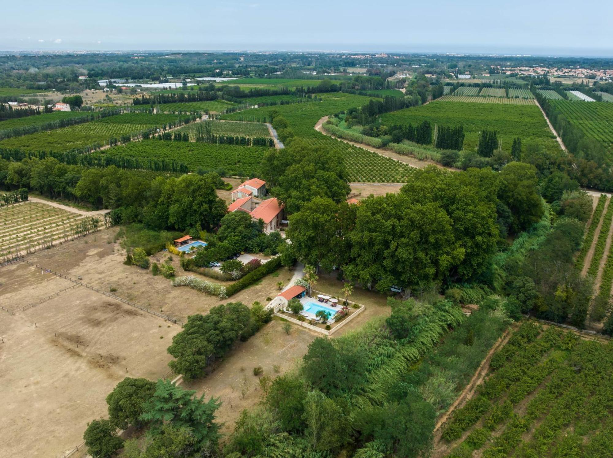 Domaine Castell De Bles Acomodação com café da manhã Saint-Génis Exterior foto