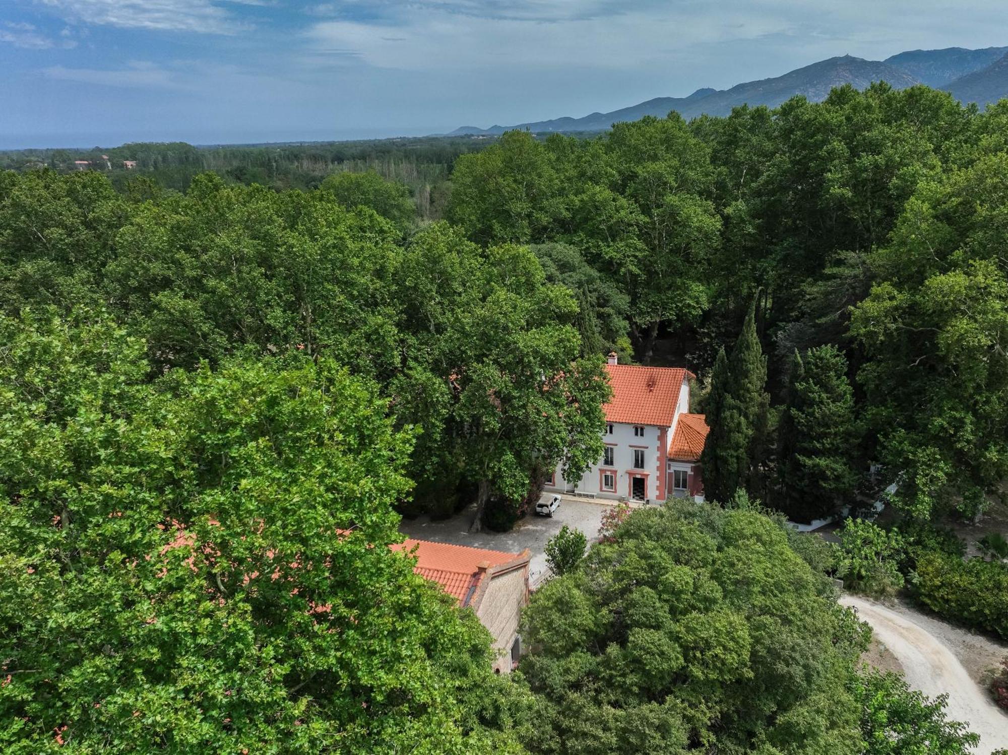 Domaine Castell De Bles Acomodação com café da manhã Saint-Génis Exterior foto
